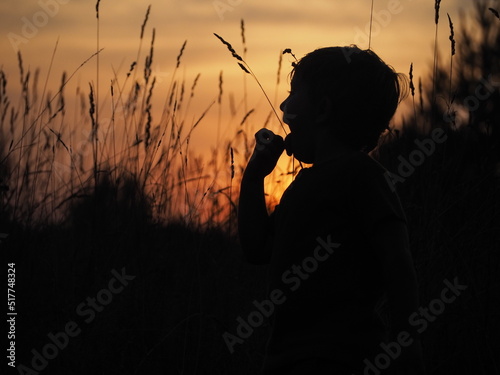 summer field sunset child game sun rays evening night