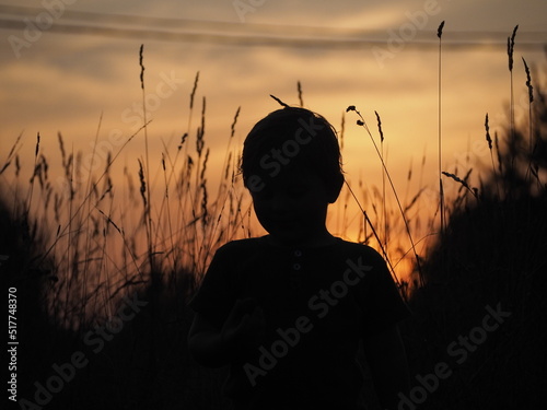 summer field sunset child sun rays evening night