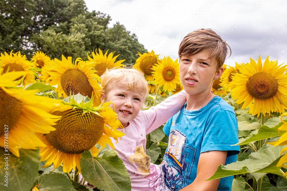 Brother and sister in a field of flowering sunflowers in the summer. sunflower plants in a cultivated fielding summer. Agricultural occupation. Brother and sister in a field of flowering sunflowers in the summer. sunflower plants in a cultivated fielding summer. Agricultural occupation.