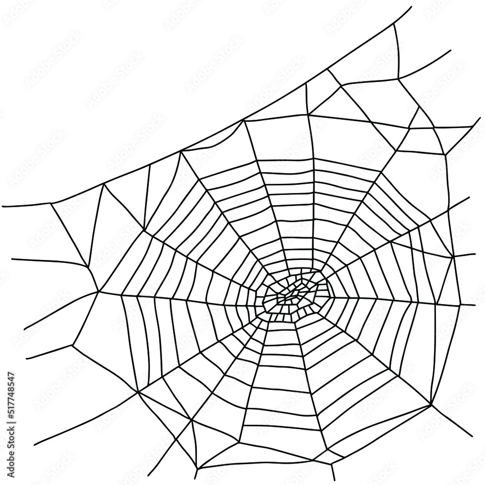 Obraz premium spider web vector illustration isolated on white background in doodle style