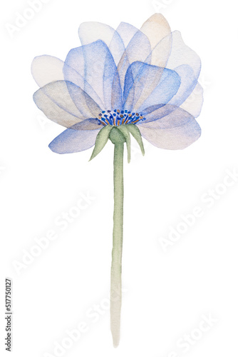 Beautiful elegant watercolor flower on a long stem. Blue flower with transparent petals and gold micro sparkles isolated on white