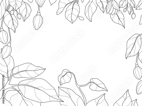 Frame of flowers and leaves. Natural headband from a plant. Vector coloring book.