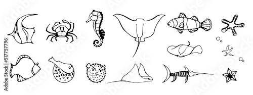Set of fish and marine inhabitants. starfish, seahorse, manta ray, kingfisher, crab, puffer fish. Vector illustration. Vector coloring elements.