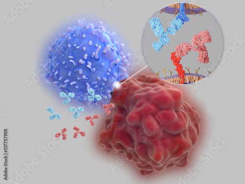 Foto Immune checkpoint inhibitors: Interaction between PD-1 and PD-L1  blocked by the