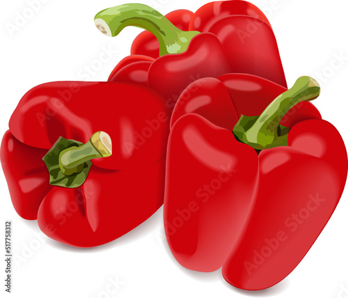 Three bell peppers for banners, flyers, posters, social media. Red peppers, sweet bell peppers, capsicum. Fresh organic and healthy vegetables. Vector illustration isolated on white background.