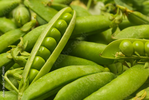 Freshly harvested organic green peas on the table	