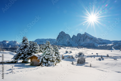 Picturesque landscape with small wooden log cabin on meadow Alpe di Siusi on sunrise time. Seiser Alm  Dolomites  Italy. Snowy hills with orange larch and Sassolungo and Langkofel mountains group