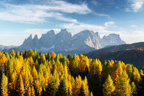 Incredible autumn view at Valfreda valley in Italian Dolomite Alps. Yellow and orange larches forest and snowy mountains peaks on background. Dolomites  Italy. Landscape photography