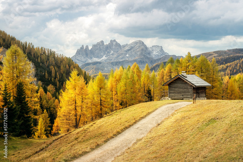 Obraz na plátně Incredible autumn view at Valfreda valley in Italian Dolomite Alps