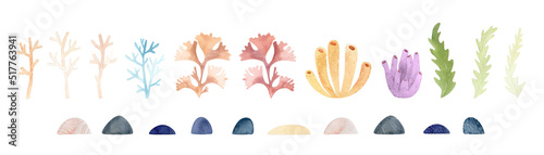 Canvas Print Watercolor corals illustration