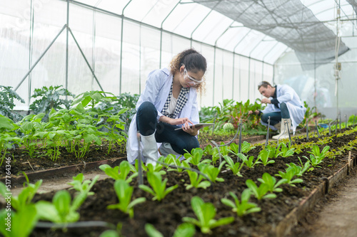 Photo Scientis are analyzing organic vegetables plants in greenhouse , concept of agri
