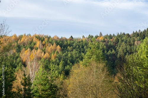 Autumn colorful leaves on the ground and on the trees. Slovakia
