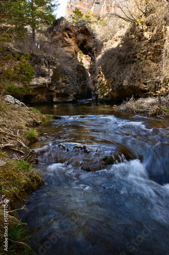 creek in the forest