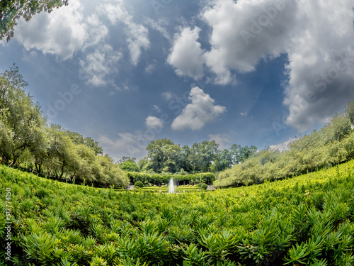 Fisheye View of a Formal Garden