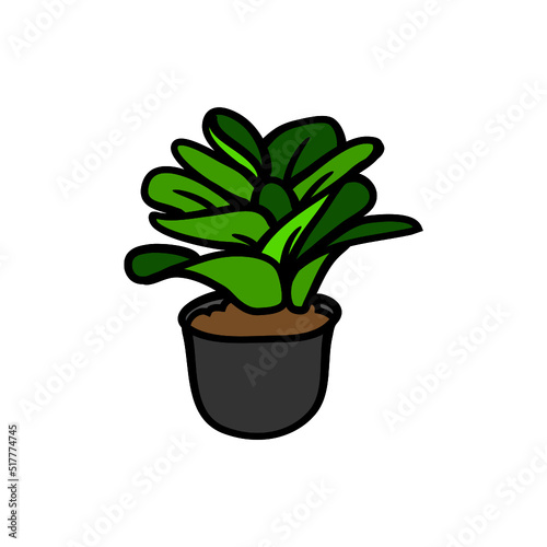 Plant Design Very Cool