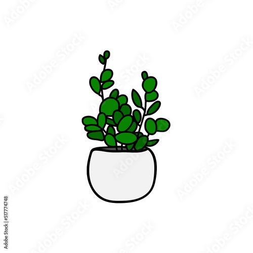 Plant Design Very Cool