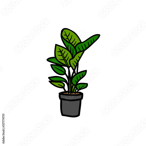 Plant Design Very Cool