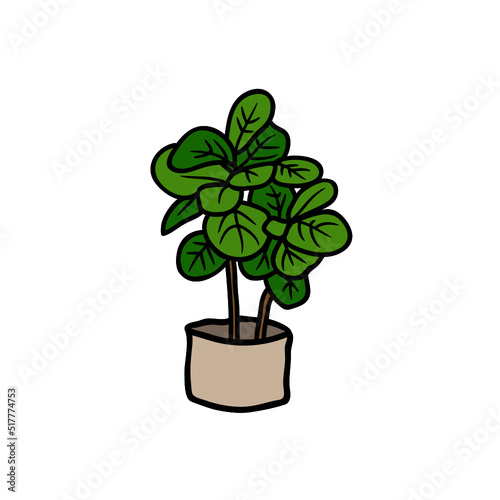 Plant Design Very Cool