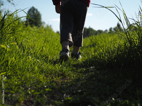 Children summer vacation hike in the forest