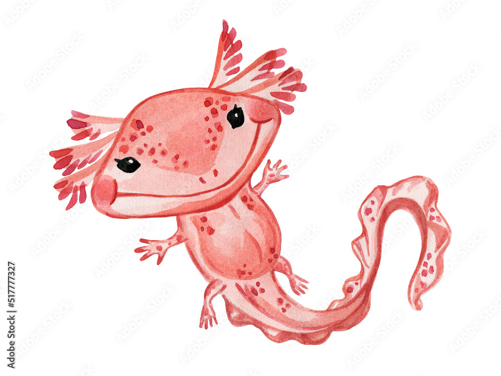 Watercolor baby axalotl with long wavy tail Watercolor baby axalotl with long wavy tail