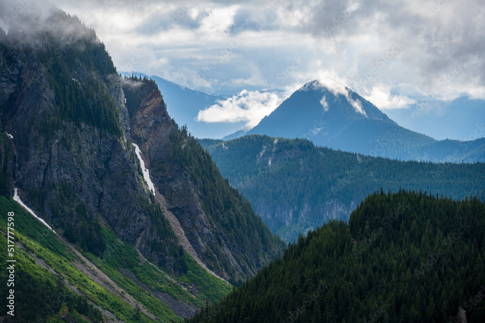 Mt Rainier National Park