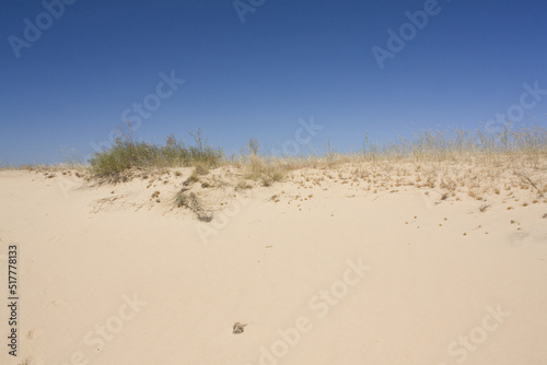 Oleshkiv Sands National Nature Park in the Kherson Region in Ukraine
