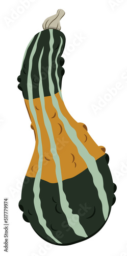 Cartoon illustration of bumpy squash vegetable