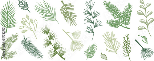 Christmas pine cone and fir, leaf and branch tree, winter holly berry, evergreen plant, cedar twig vector icon, New Year wood, holiday decoration. Xmas hand drawn illustration