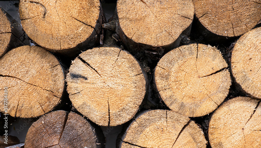 Harvesting firewood for the winter. A supply of firewood for heating the house in winter. Stacked firewood close-up. Harvesting firewood for the winter. A supply of firewood for heating the house in winter. Stacked firewood close-up.
