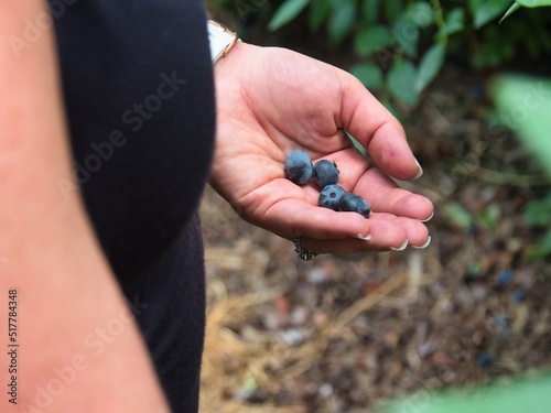 Girl holding Fresh Handpicked Organic Blueberries