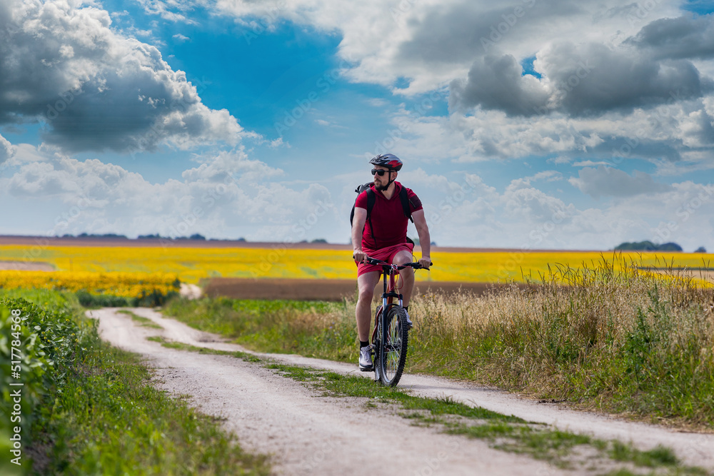 cyclist riding a bike in the countryside. sunflower field, active lifestyle. The concept of extreme cycling, free space.