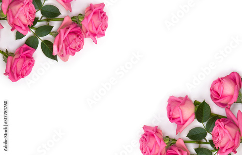 Pink flowers roses on a white background with space for text. Top view, flat lay © Anastasiia Malinich