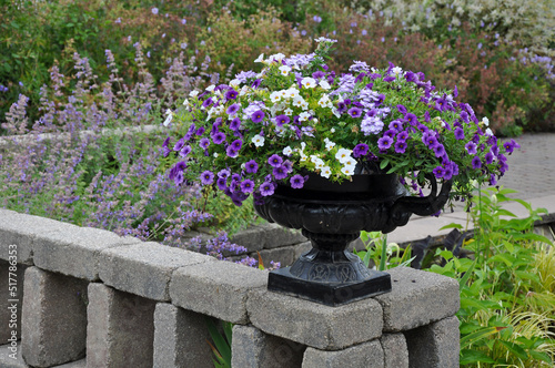 Summer petunia planter on garden terrace