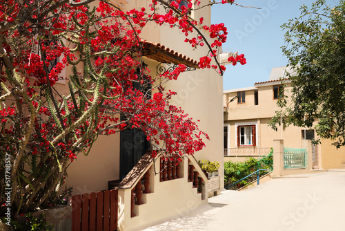 Fototapeta Naklejka Na Ścianę i Meble -  City street with beautiful buildings and blooming tree on sunny day