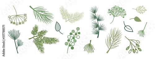 Fotografia Christmas plant vector, winter leaf and branch, xmas holly berry, floral element, fir and pine tree icon, green line silhouettes