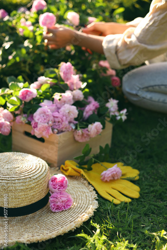 Straw hat, gloves, beautiful tea roses and blurred view of woman working in garden on background