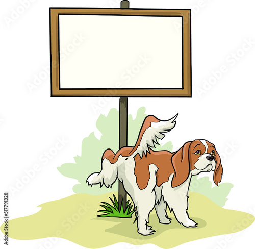 Cavalier kings Charles spaniel The dog is peeing, on a pole, a blank board for entering text,