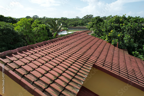 Damaged roof with fungus