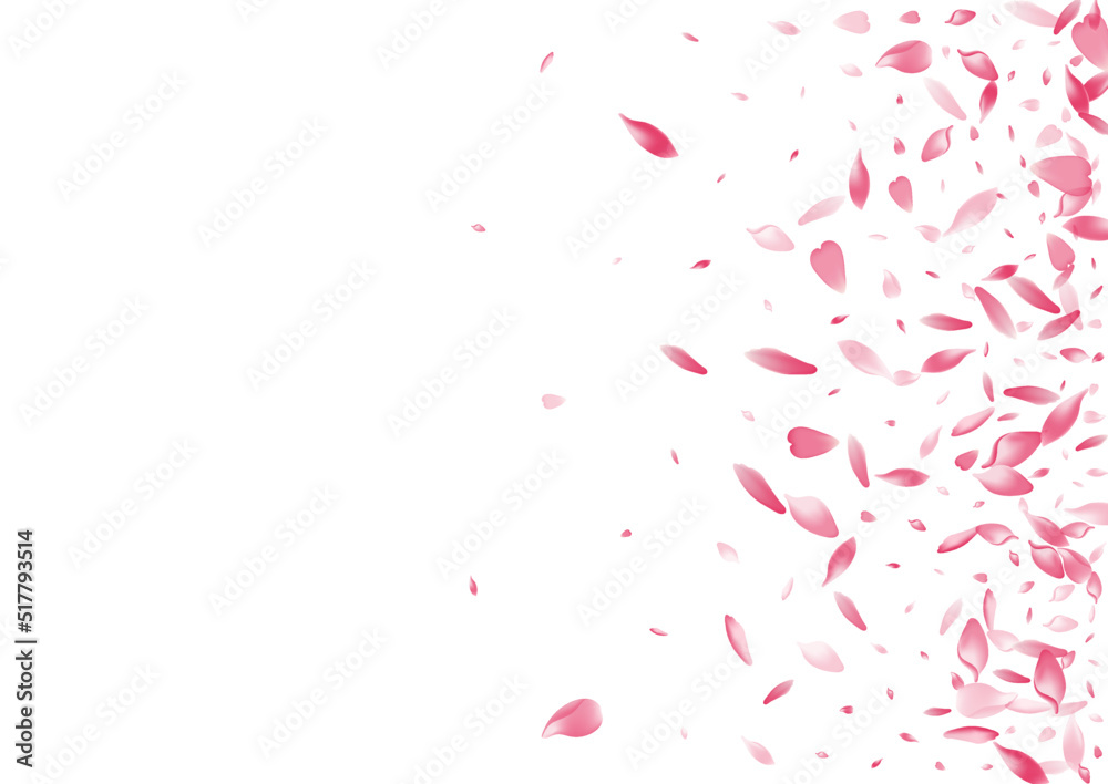 White Peach Petal Vector White Background. Pastel