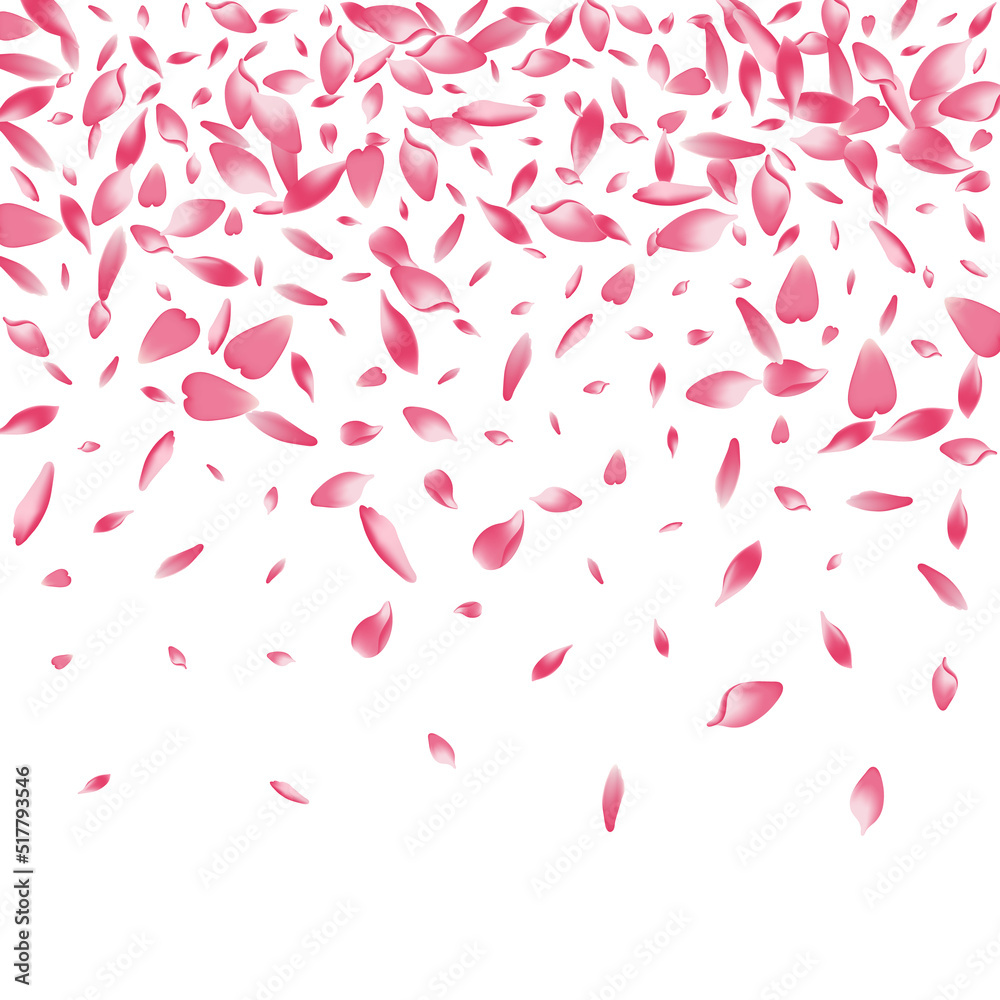 Pastel Sakura Petal Vector White Background. Pastel Sakura Petal Vector White Background.