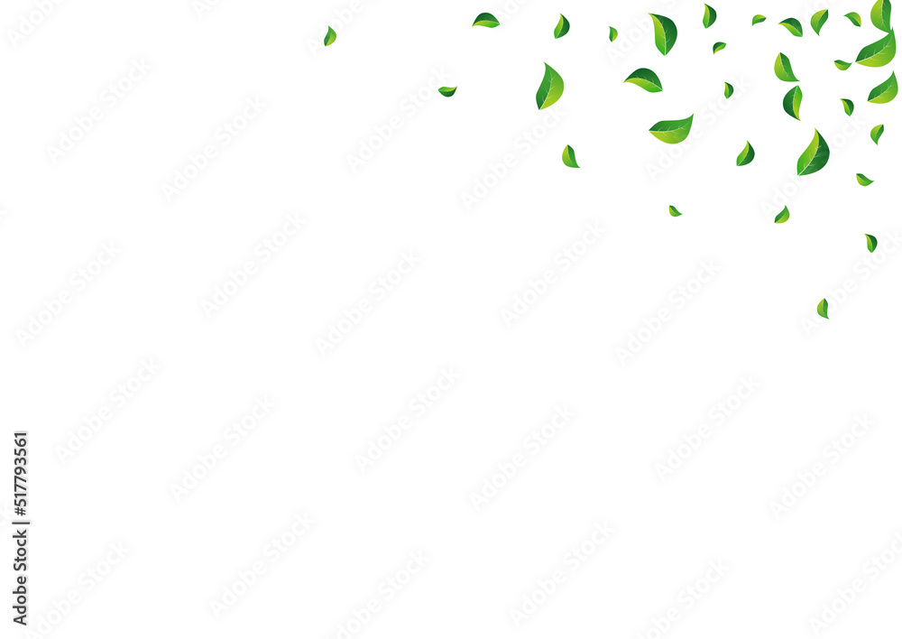 Grassy Greens Wind Vector White Background. Grassy Greens Wind Vector White Background.