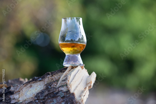 Single malt whisky peated in glencairn crystal glass in selective focus on the trunk of the rainforest tree. Fine details photo