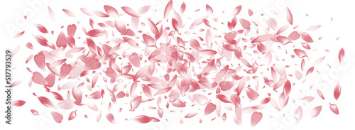 Color Apple Petal Vector Panoramic Background.