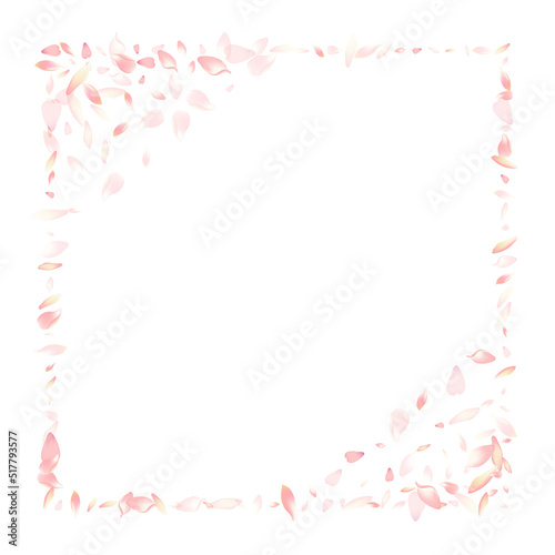 Wallpaper Mural Pastel Peach Petal Vector White Background. White Torontodigital.ca