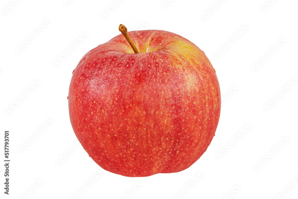 One red ripe apple on a white background. Apple isolate. One red ripe apple on a white background. Apple isolate.