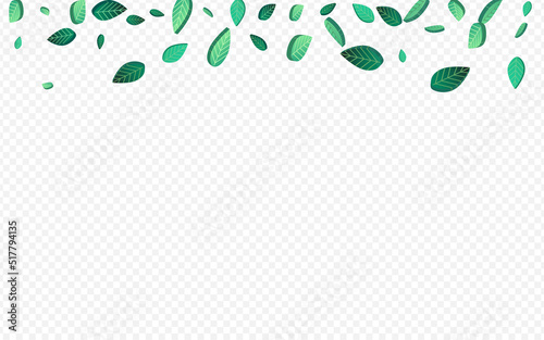 Green Leaves Flying Vector Transparent Background