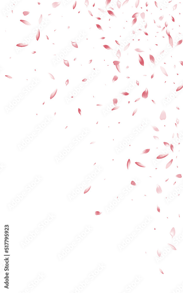 Red Peach Summer Vector White Background. Beauty