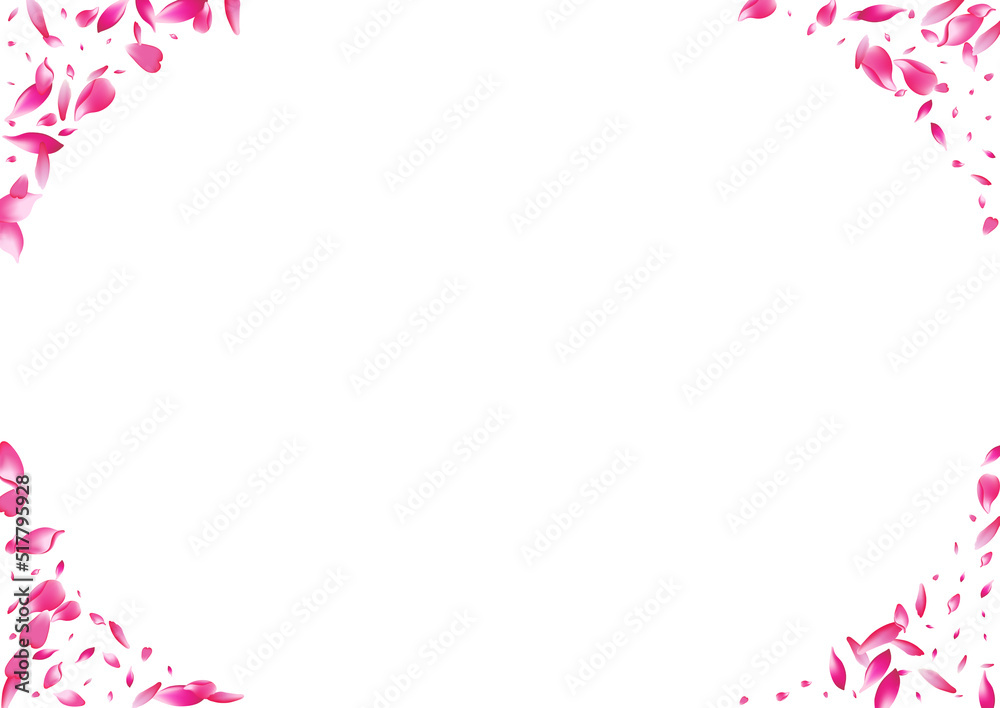 Pink Cherry Petal Vector White Background. Purple