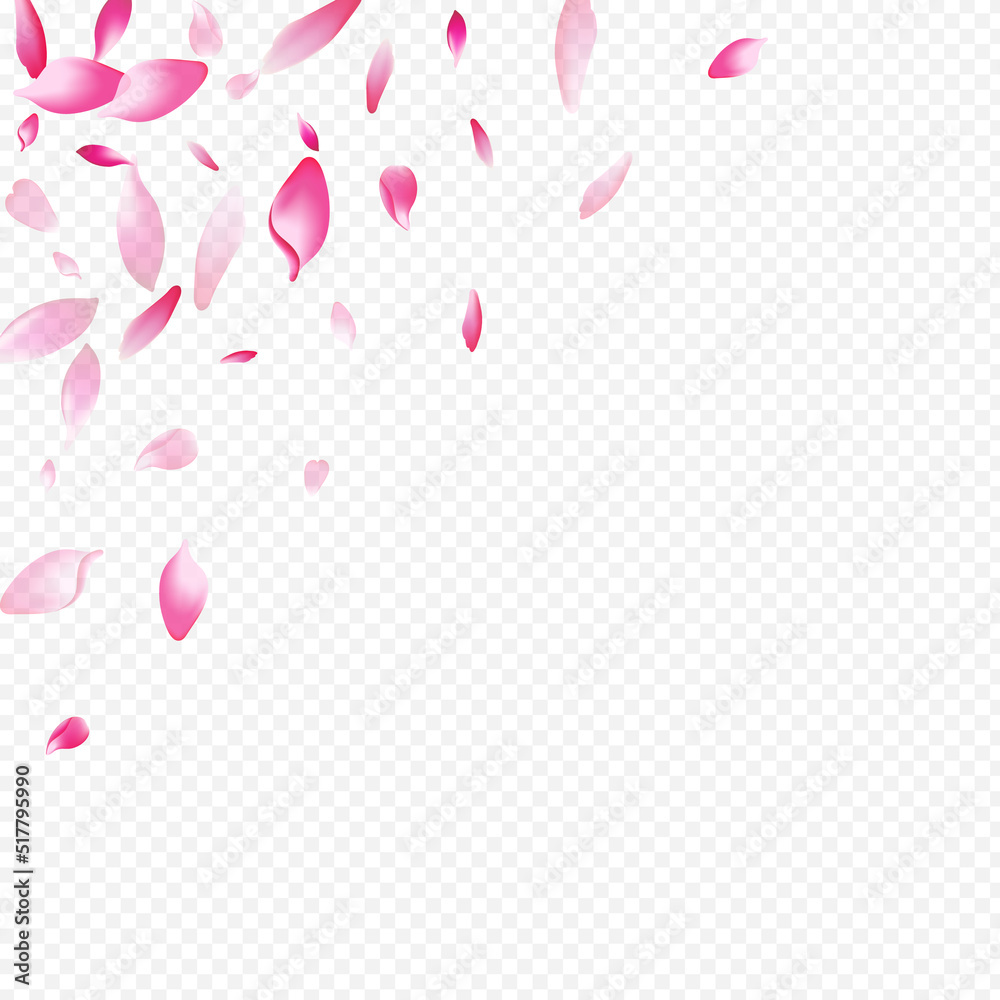 Color Rosa Vector Transparent Background.
