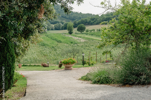 Beautiful landscape with large clay pots in the garden. Meadow, trees on hill and with cloudy sky in background and paved road ant trees in the foreground. photo